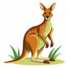 Red Kangaroo Standing on a Grassy Patch