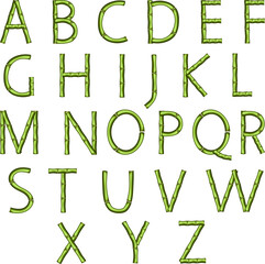 English alphabet from green branches.Vector illustration with green bamboo letters of the English alphabet on a transparent background.