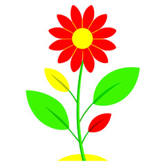 Minimalist Flower on White Background - Vector Art