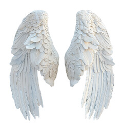 Angelic Wings