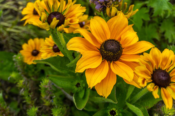 Gothic splendor of Dunedin's cathedral and its historic train station, iconic landmarks on New Zealand's South Island. Perfect for architecture enthusiasts, urban explorers, and history Victorian 