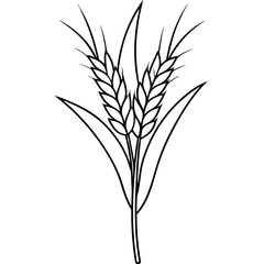 Minimalist Wheat Plant Vector online art White Background