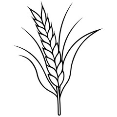 Minimalist Wheat Plant Vector online art White Background
