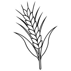 Minimalist Wheat Plant Vector online art White Background