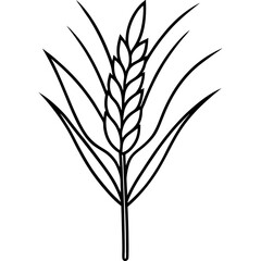 Minimalist Wheat Plant Vector online art White Background