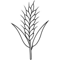 Minimalist Wheat Plant Vector online art White Background