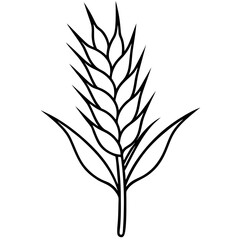 Minimalist Wheat Plant Vector online art White Background