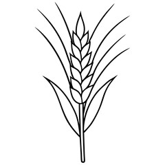 Minimalist Wheat Plant Vector online art White Background