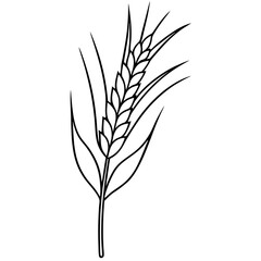 Minimalist Wheat Plant Vector online art White Background