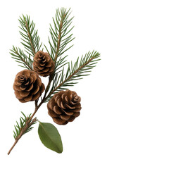 A close-up of pine cones with green needles, capturing the essence of nature and the beauty of the outdoors.