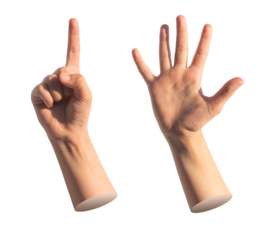 Kids hand counting one and five with fingers isolated. Gestures for quantity, white background.