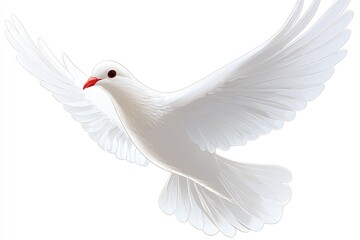 Obraz premium White Dove of Peace in Flight