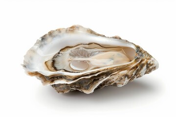 A stunning open oyster rests gracefully on a smooth surface. Its unique shell showcases natural beauty and intricate patterns. Perfect for food and nature themes. Generative AI