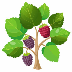 A cartoon illustration of a blackberry bush with three ripe blackberries