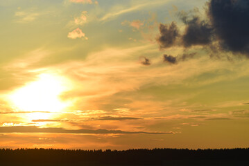 Beautiful sunset landscape with red clouds. Evening horizon with a forest.