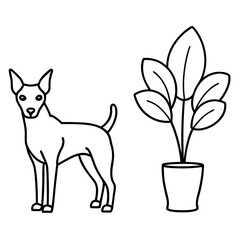 Vector Illustration German Pinscher Dogs & Potted Plant Art