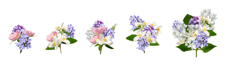 Set of miniature bouquets with lilac, rosehip, jasmine and white lilac flowers isolated on white background. Perfect for creating wedding cards, invitations, floral arrangements, frames.