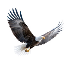 A majestic eagle soaring through the sky, showcasing its powerful wings and striking features in a dynamic flight posture.