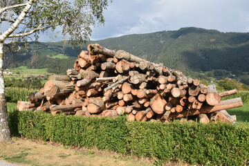 Holzstapel