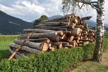 Holzstapel