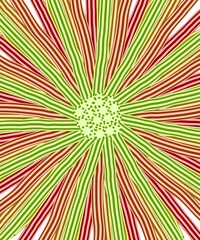 Radiant Starburst Pattern in Red and Green for Eye-catching Backgrounds