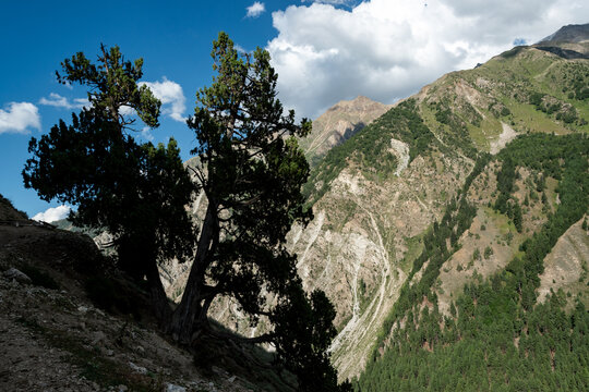 Nanga Parbat in Pakistan from Fairy Meadows