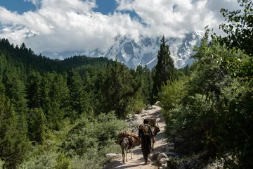 Nanga Parbat in Pakistan from Fairy Meadows