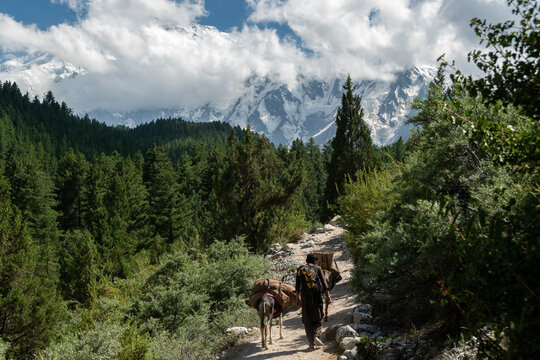 Nanga Parbat in Pakistan from Fairy Meadows