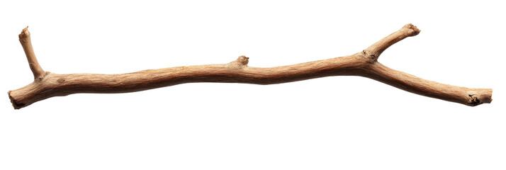 Obraz premium A smooth, natural brown branch is displayed against a transparent background, ideal for various crafting and decorative uses. Transparent background PNG