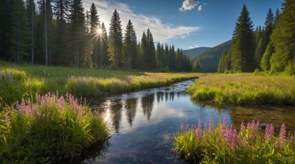 Obraz premium Natural meadow in the mountains, wallpaper