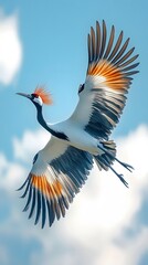 Obraz premium Grey Crowned Crane Bird, Flying Under Blue Sky, Photo Realistic, Wallpaper, Cover and Screen for Smartphone, Cell Phone, Computer, Laptop, 9:16 and 16:9 Format