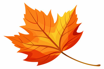 A single, vibrant autumn leaf stands out against a stark white background, highlighting its rich colors and intricate details, a true representation of autumn’s simplicity and beauty.
