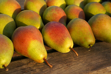 ripe juicy pears lie on an old wooden table.