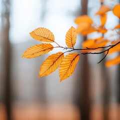 Obraz premium Gentle breeze rustling the leaves of a forest, mild weather, peaceful nature scene