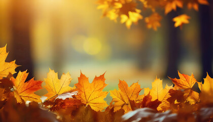 Fototapeta premium Bright orange autumn leaves gently illuminated by sunlight in a serene forest setting.