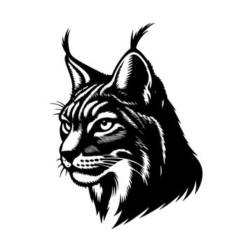 recommend clip art: Lynx silhouette, vector black color silhouette