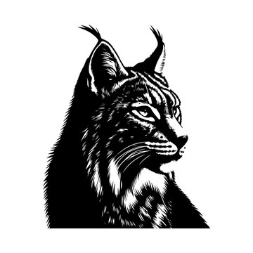 recommend clip art: Lynx silhouette, vector black color silhouette