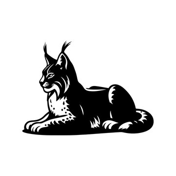 recommend clip art: Lynx silhouette, vector black color silhouette