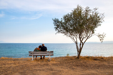 Idyllic landscape with people sitting on bench near tree in the background of a sea bay at sunset