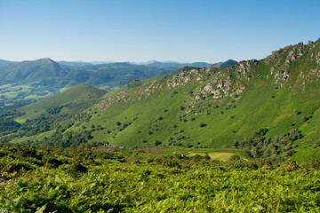 Fototapeta premium View from the top of the mountain to the green valley in swiss alps 