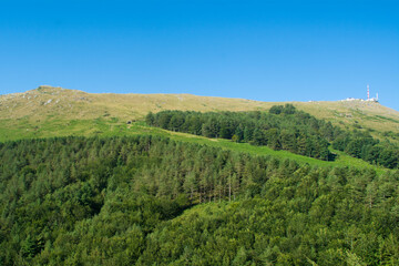 Mountain landscape with coniferous forest and high peaks under blue sky