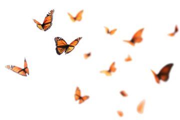 PNG Vibrant monarch butterflies in flight