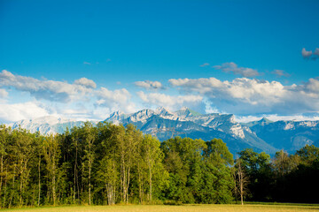 Mountain landscape with forest and meadow with snow and trees