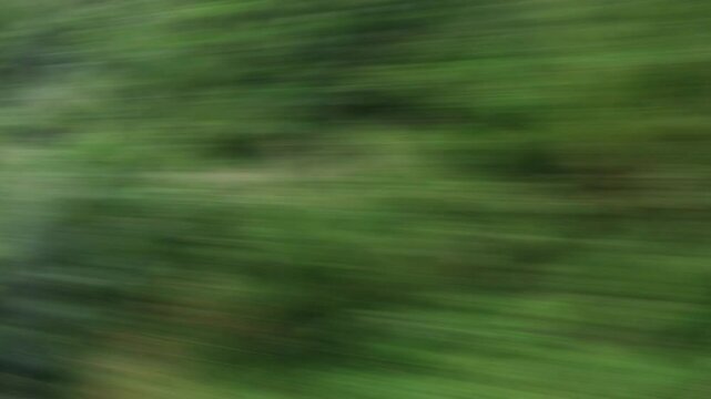 Speeding scenery blur loop.
View from a train window of motion blurred trees and bushes. Loops.
