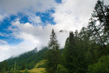Beautiful mountain landscape with fir trees and clouds in the blue sky