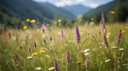 Colorful flowers on green meadow in the mountains