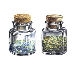 A set with vintage glass bottles with dried herbs. The illustration is done in watercolor, by hand. Healthy tea, spices or medicinal herbs. For packaging, label, menu or recipe design.