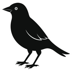 Bird Silhouette in flat background. Black Bird Icon. Bird Head Silhouette. Birds Collections. Set Of Birds Silhouette.