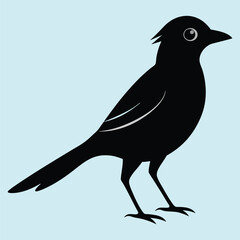Bird Silhouette in flat background. Black Bird Icon. Bird Head Silhouette. Birds Collections. Set Of Birds Silhouette.