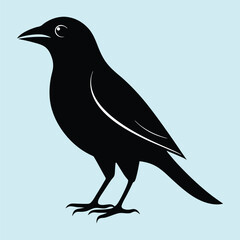 Bird Silhouette in flat background. Black Bird Icon. Bird Head Silhouette. Birds Collections. Set Of Birds Silhouette.